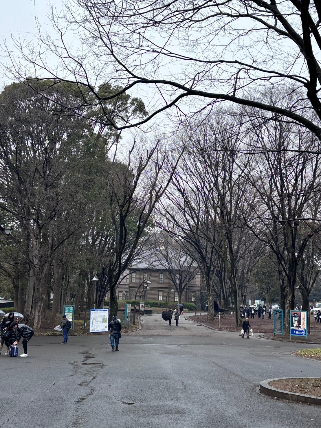 獨自漫步雨中前往舊東京音樂學校奏樂堂的路上